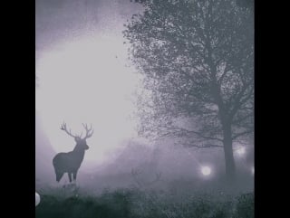 [teaser] stadiumx & metrush glare