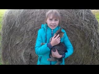 V 20200920 164526 vhdr on n0 mp4