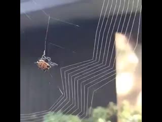 Идеальная геометрия #ourworld