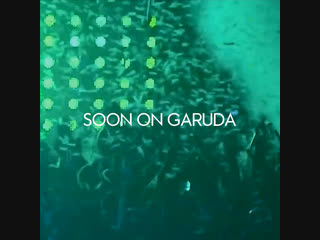 Garuda 2019 teaser