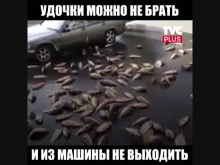 Удочки можно не брать