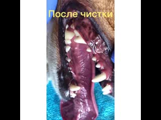 Video output 22f04084 e548 4316 9df6 18ddc5f02f6f mov