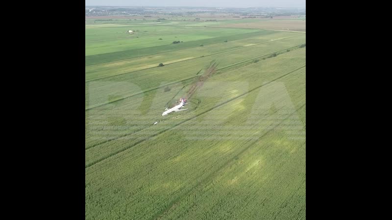 Панорамное видео с коптера