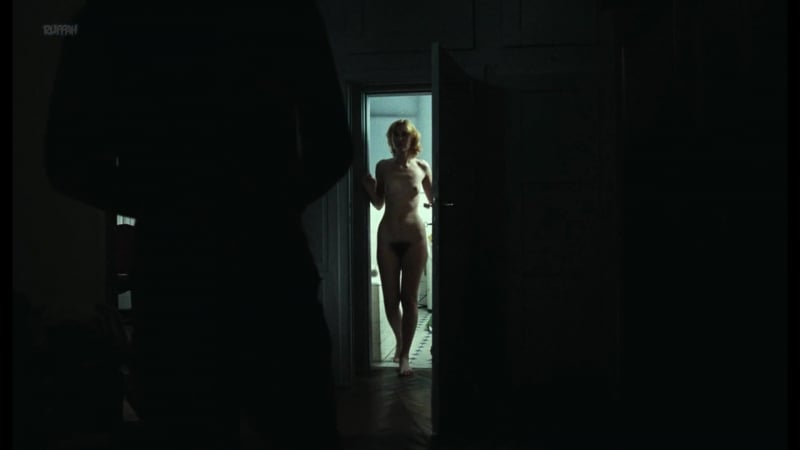 Моника гоздзик случай / monika goździk przypadek ( 1981 )