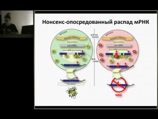 Татьяна шнайдер «уходя, гасите ген׃ методы управления экспрессией»