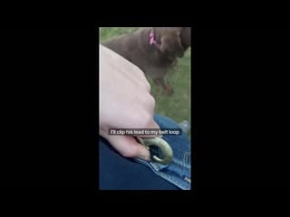 [dailypicksandflicks] dog thinks it's his turn to walk his human