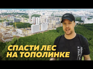 Как спасти лес на тополинке от вырубки под застройку