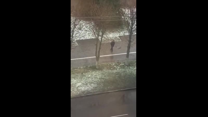 В коньках по асфальту