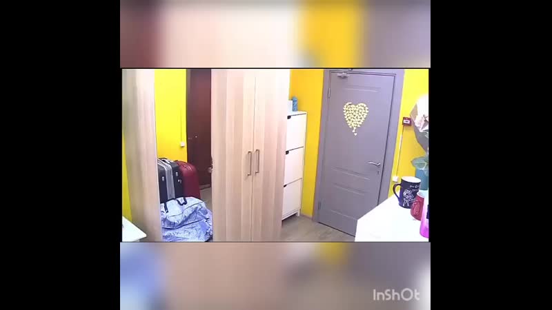 Шафеева и саленко