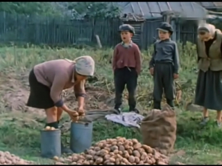 Любаша (1978)