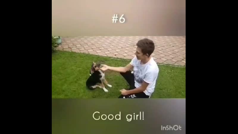 Taming taya by iskander