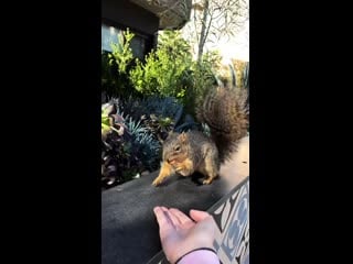 Anastasiya fukkacumi 20200726 480 mp4