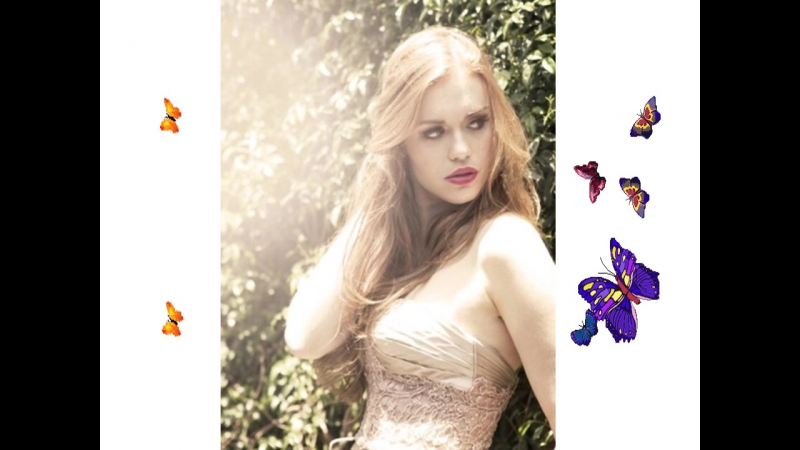 Холлэнд роден ( holland roden)