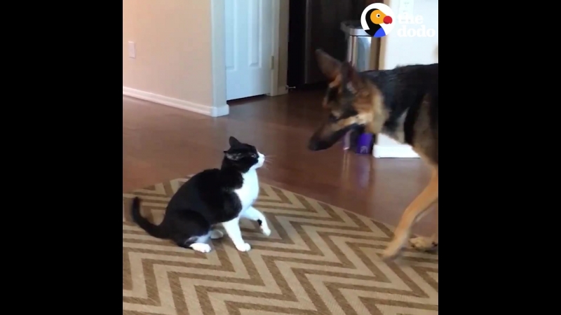 Справжнє кохання як воно є