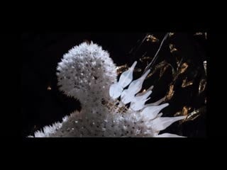 Iris van herpen paris haute couture fw 22 23