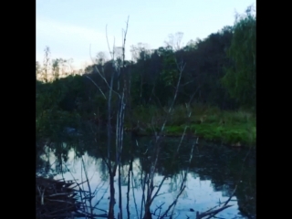 ☘парк покровское стрешнево