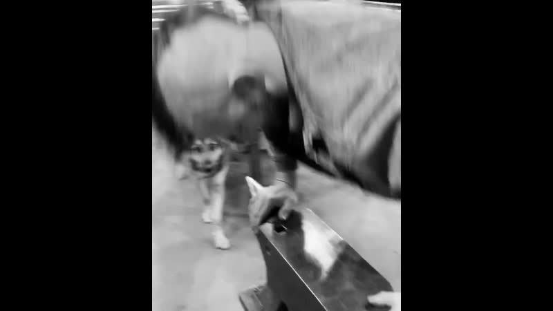 В кузне физ подготоа очень важна!