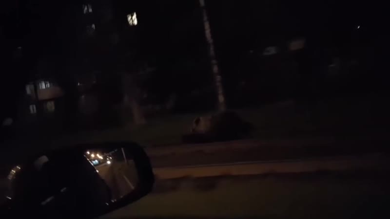 Не поддельные эмоции