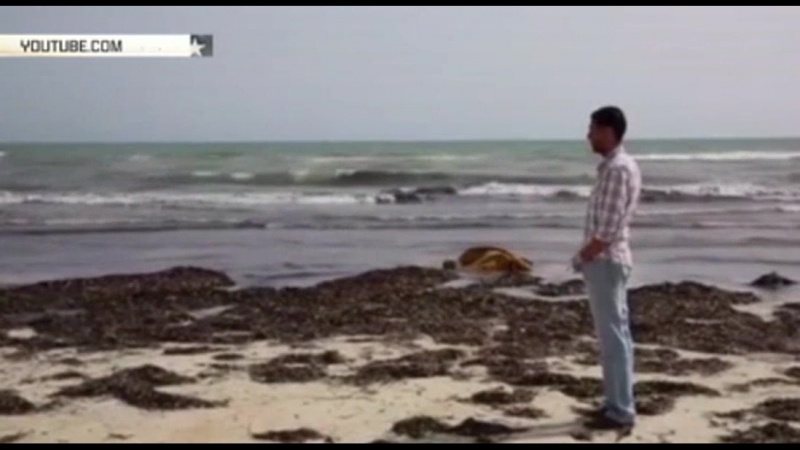 Десятки тел утонувших мигрантов выбросило на побережье ливии