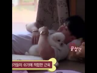 Here’s wonho and maknae to clear the negativity in your tl