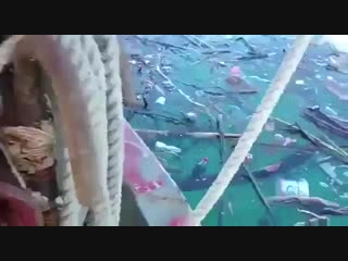 Улов в геленджике (vhs video)