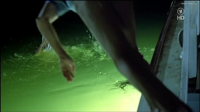 Melanie griffith night moves (1975)