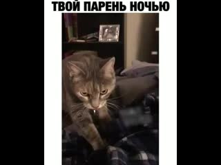Fuck humor+instautility 00 b6nfwokild0 11 mp4