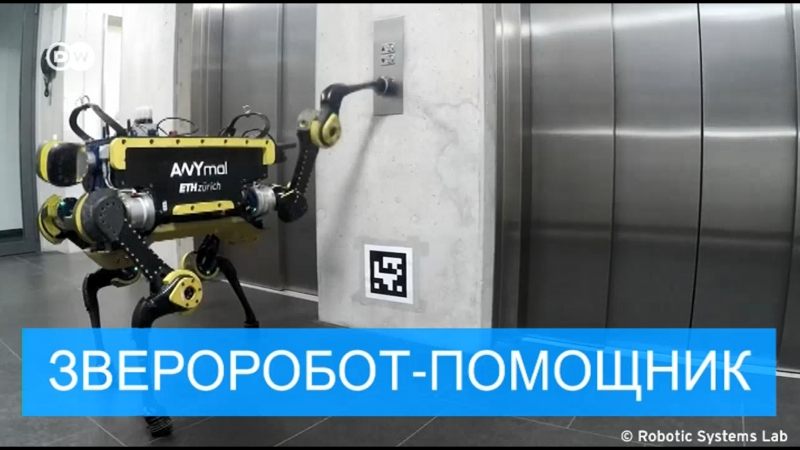 Четвероногие друзья будущего робот помощник из швейцарии