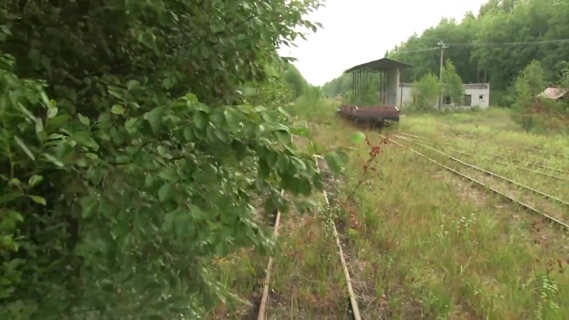 Узкоколейная железнодорожная линия в лавассааре narrow gauge railway line in lavassaare