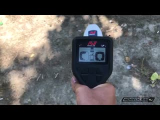 О металлоискателе minelab gold monster 1000