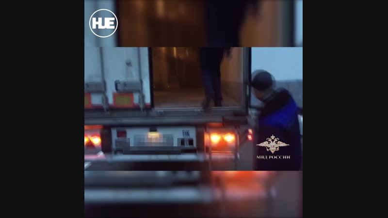 Полицейские нашли партию чёрной икры на 100 миллионов рублей