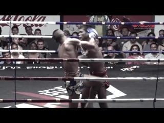 Muay thai fight breakdown 45 degree up elbow ko! evolve university