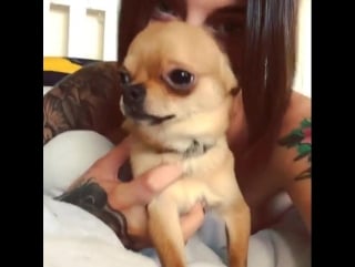 Laurenn porn (laurenn, lauren sex, lauren, lauren houldsworth) / видео от