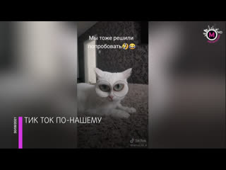 Мегаполис нижневартовский тик ток нижневартовск