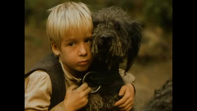 Мятеж иова / забастоа / job lazadasa / jób lázadása / the revolt of job (1983 венгрия) драма военный молодые в кино