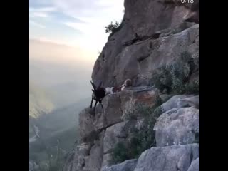 Ira initium insaniae est #222