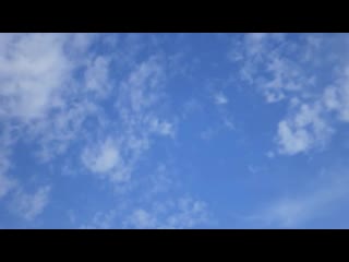 Andy timmons style backing track