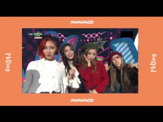 마마무 넌 is 뭔들 킬링파트 (얼굴 몰아주기 여기 보세요 찰칵, 1주차)