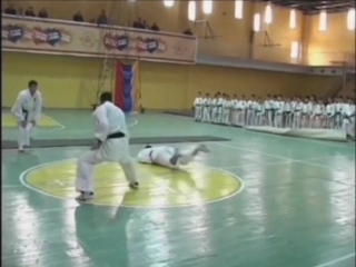 Hunan (leon) avetisyan fudokan karate (new mix)