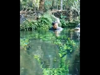 Aquariums ig 20200311 3 mp4