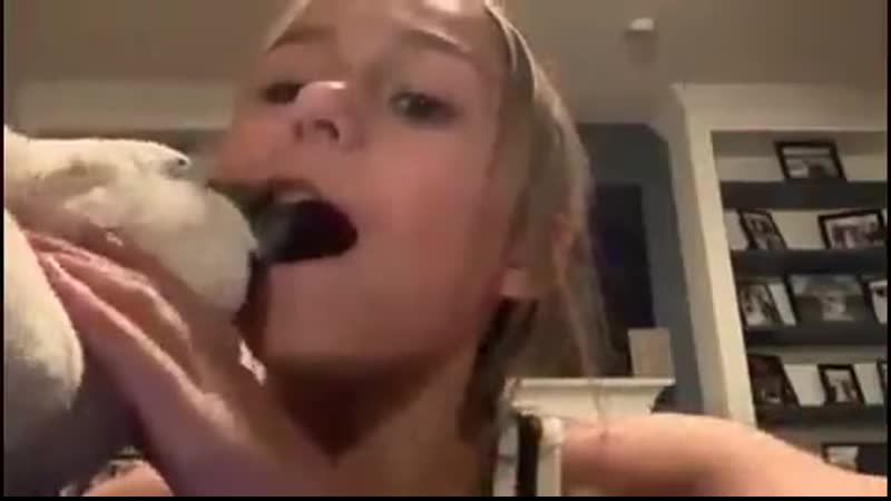 Пернатый дантист