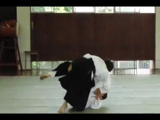 Yamamoto den daito ryu aikijujutsu 1