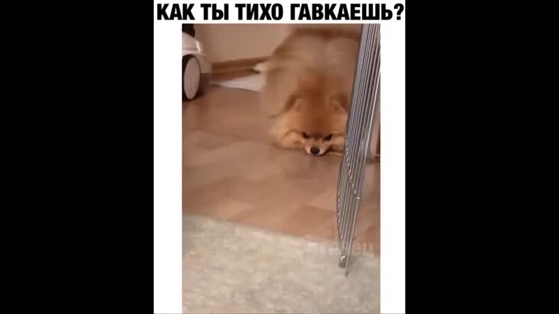 Пёсик porn video – Пёсик