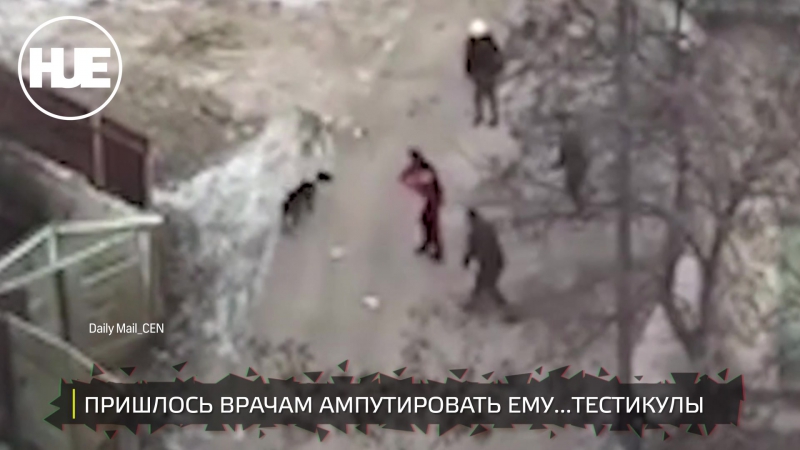 В румынии молодые отгрызли тестикулы мужчине, который защищал прохожую