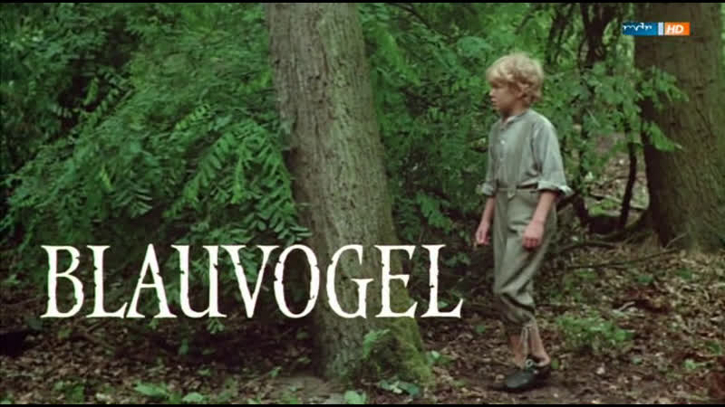 Союз племени ирокезов / blauvogel 1979