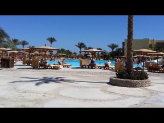 Путеводитель отель desert rose resort 5* хургада (hurghada)