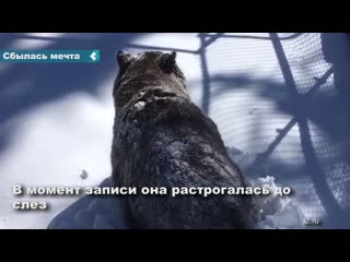 В канаде рейнджер сняла на камеру пробуждение гризли в скалистых горах