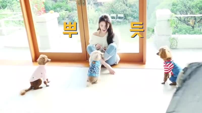 Chungha & kim bambi [청하] 밤비 언니 청하 모먼트 모음