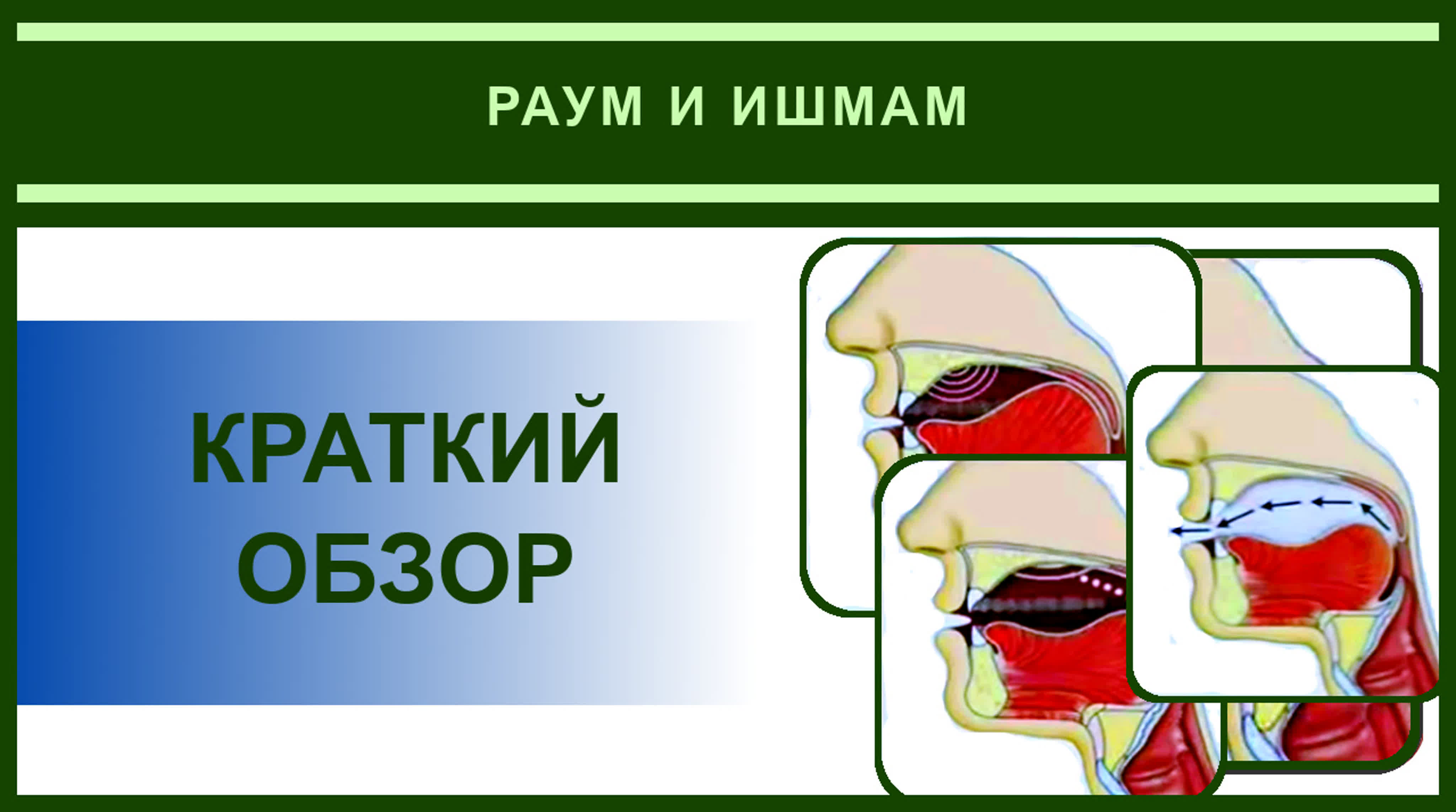 Айман сувейд 3 раум и ишмам краткий обзор (с субтитрами на русском)