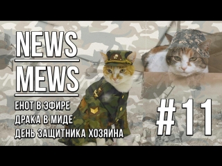 News mews #11 день защитника хозяина